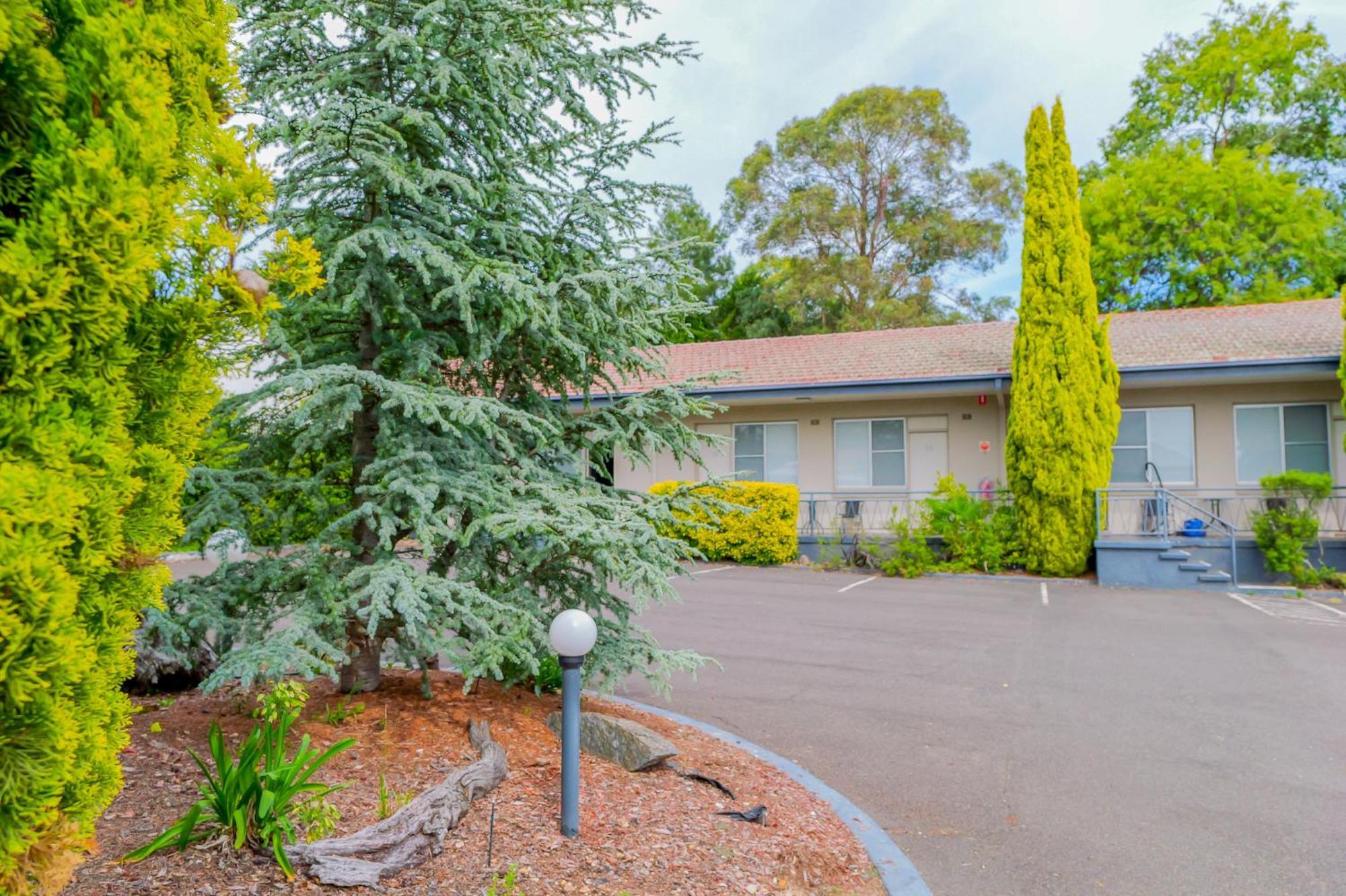 Abbotsleigh Motor Inn Armidale Bagian luar foto